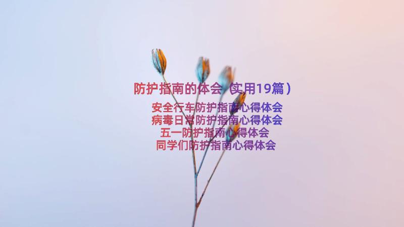 防护指南的体会（实用19篇）