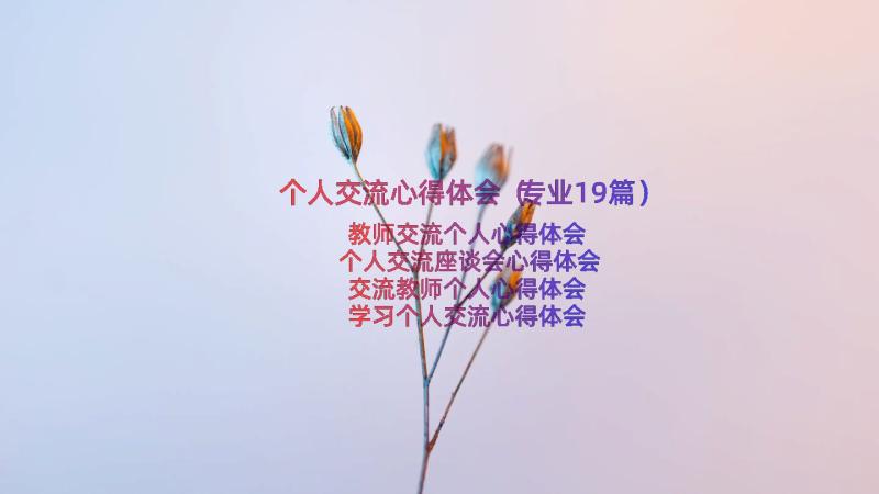 个人交流心得体会（专业19篇）