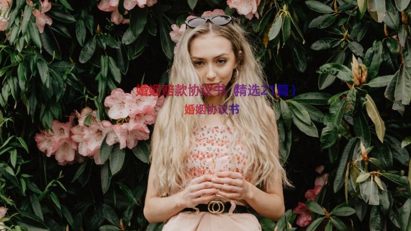 婚姻赔款协议书（精选21篇）