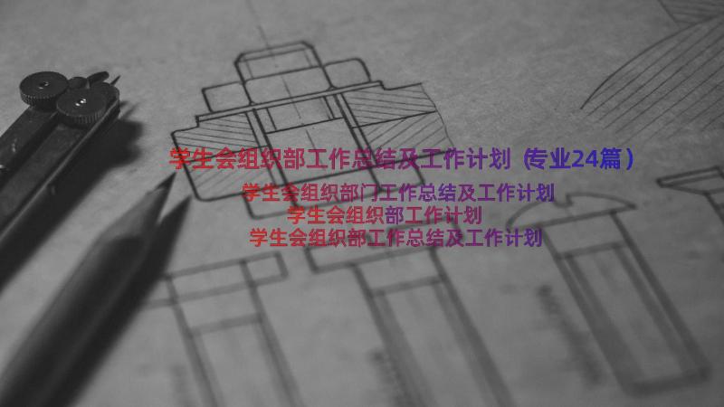 学生会组织部工作总结及工作计划（专业24篇）