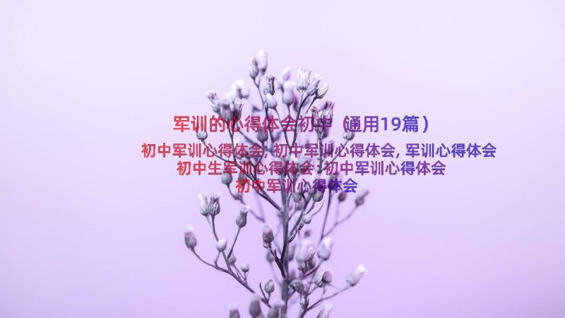 军训的心得体会初中（通用19篇）