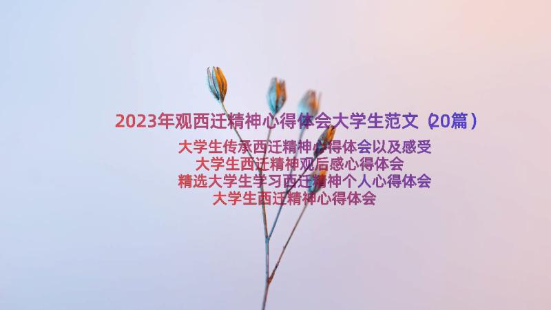 2023年观西迁精神心得体会大学生范文（20篇）