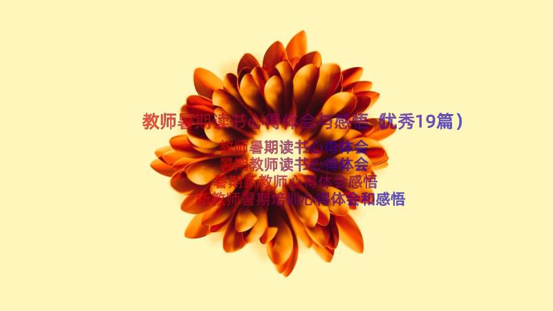 教师暑期读书心得体会与感悟（优秀19篇）