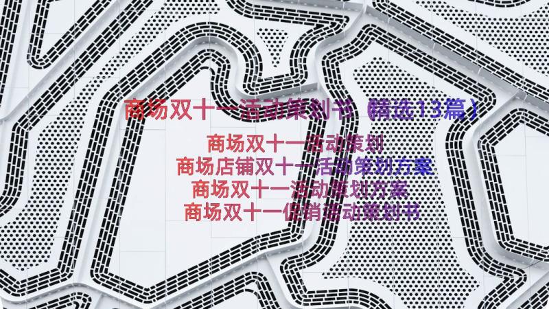 商场双十一活动策划书（精选13篇）