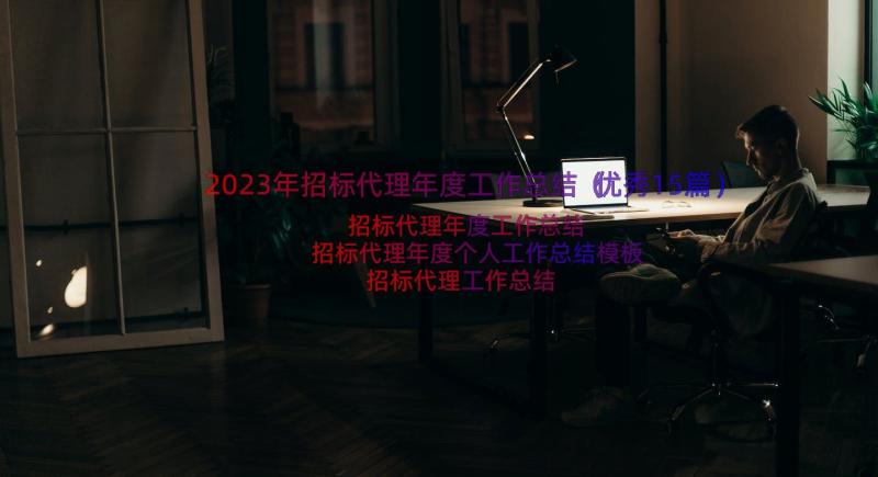 2023年招标代理年度工作总结（优秀15篇）