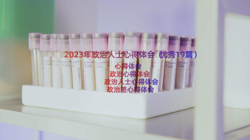 2023年政治人士心得体会（优秀19篇）