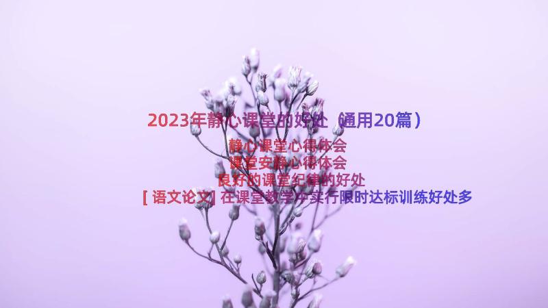 2023年静心课堂的好处（通用20篇）