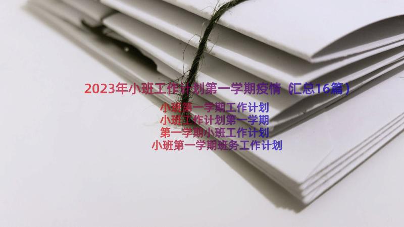 2023年小班工作计划第一学期疫情（汇总16篇）