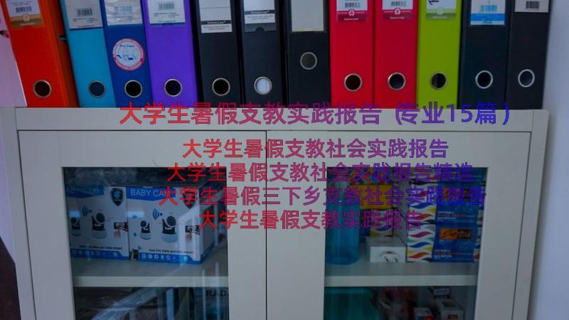 大学生暑假支教实践报告（专业15篇）