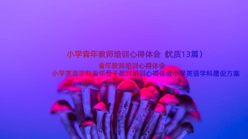 小学青年教师培训心得体会（优质13篇）