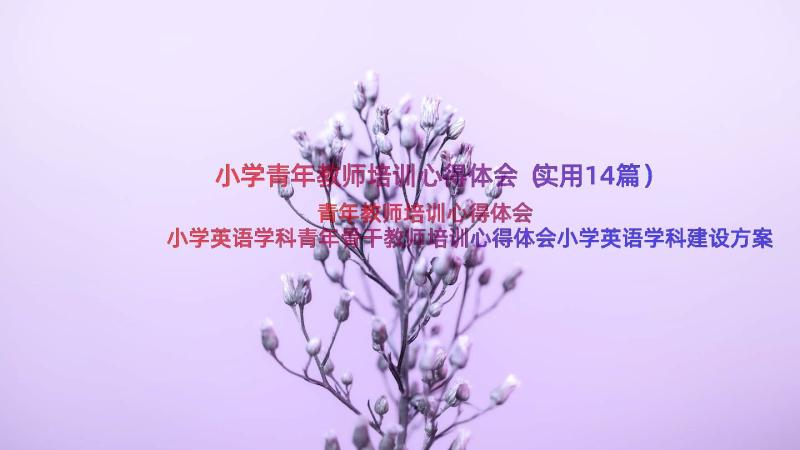 小学青年教师培训心得体会（实用14篇）