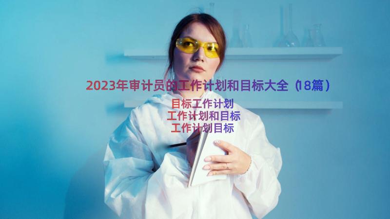 2023年审计员的工作计划和目标大全（18篇）