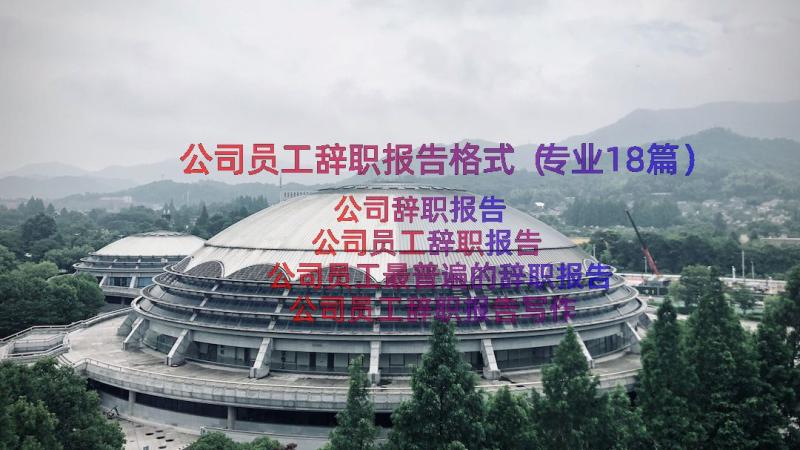 公司员工辞职报告格式（专业18篇）