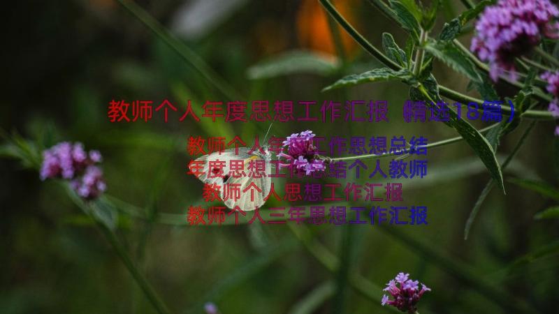 教师个人年度思想工作汇报（精选18篇）