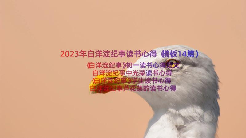 2023年白洋淀纪事读书心得（模板14篇）