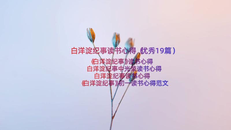 白洋淀纪事读书心得（优秀19篇）