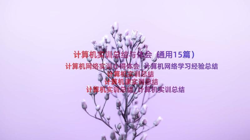 计算机实训总结与体会（通用15篇）