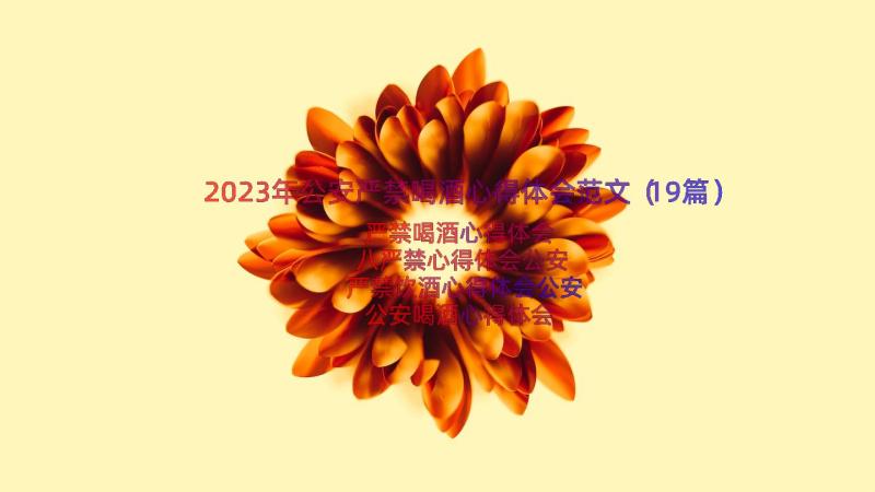 2023年公安严禁喝酒心得体会范文（19篇）