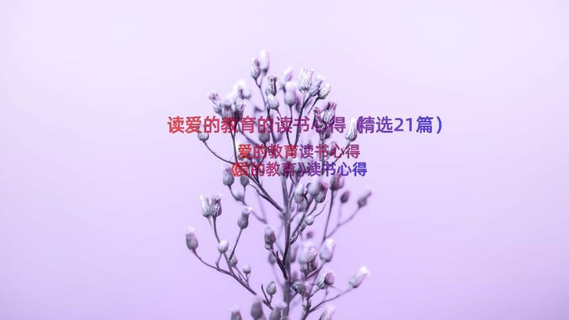 读爱的教育的读书心得（精选21篇）