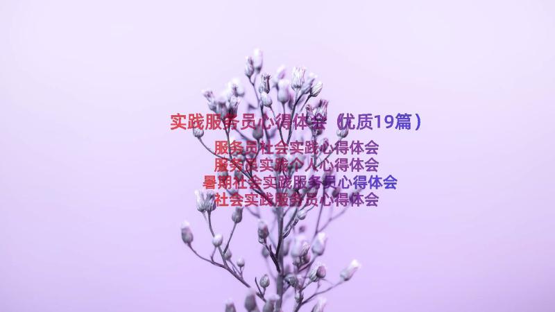 实践服务员心得体会（优质19篇）