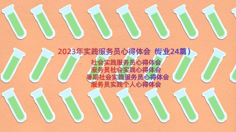 2023年实践服务员心得体会（专业24篇）