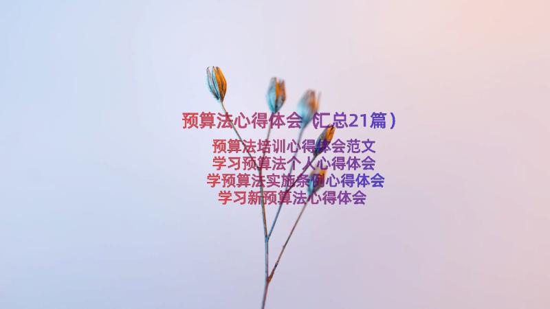 预算法心得体会（汇总21篇）