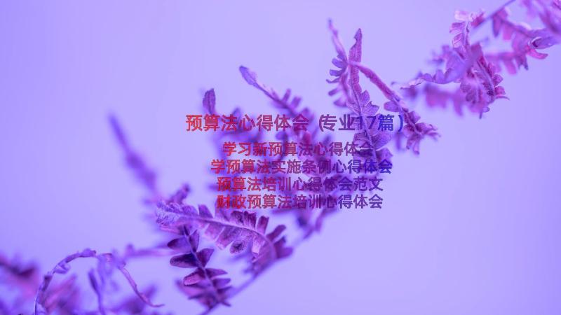 预算法心得体会（专业17篇）