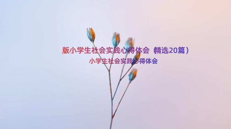 版小学生社会实践心得体会（精选20篇）