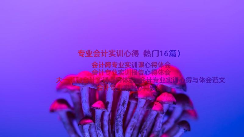 专业会计实训心得（热门16篇）