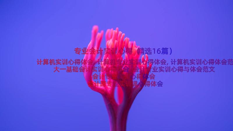 专业会计实训心得（精选16篇）