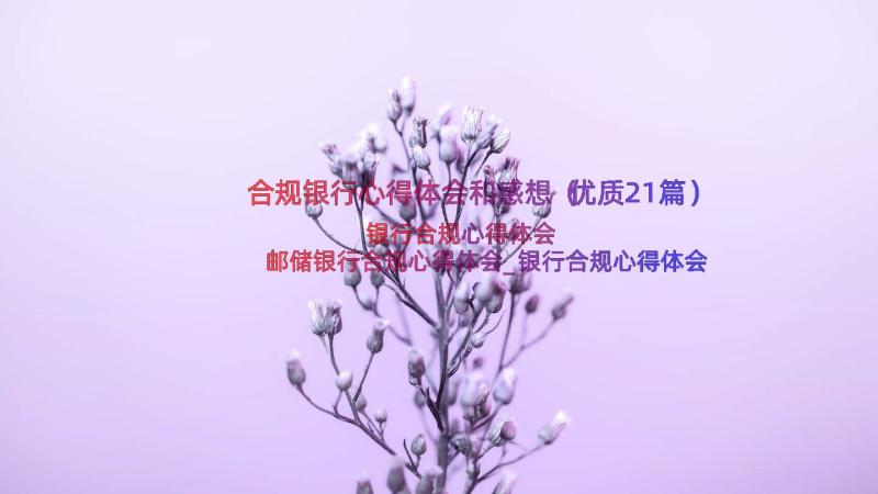 合规银行心得体会和感想（优质21篇）