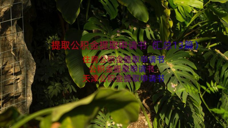 提取公积金提取申请书（汇总13篇）