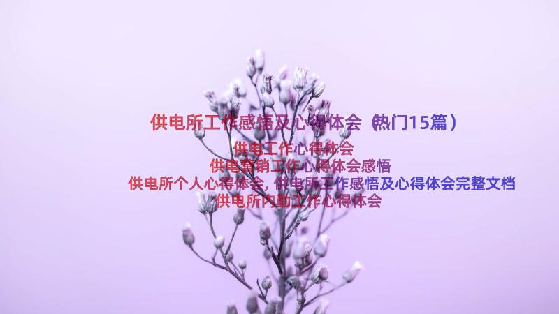 供电所工作感悟及心得体会（热门15篇）