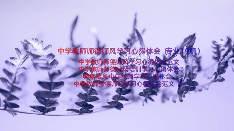 中学教师师德师风学习心得体会（专业19篇）