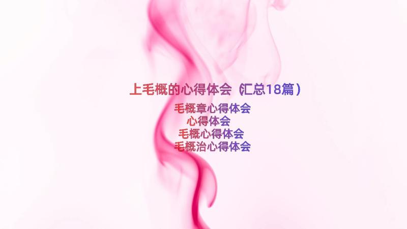 上毛概的心得体会（汇总18篇）