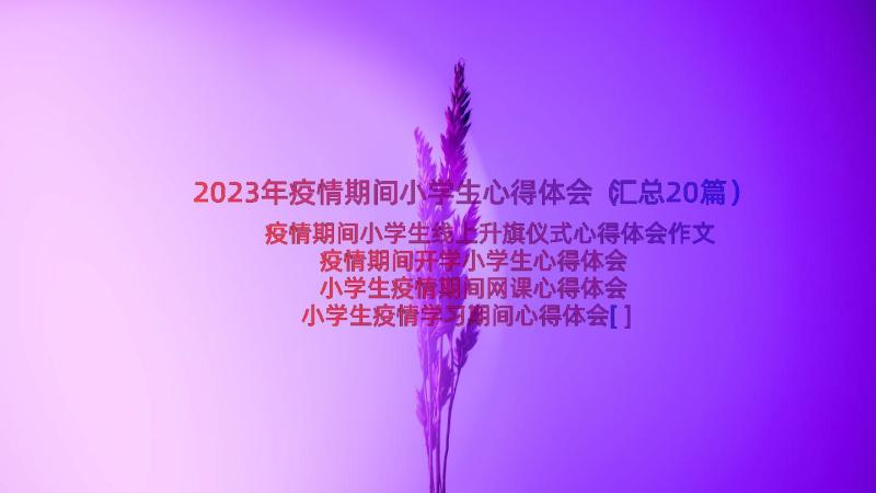 2023年疫情期间小学生心得体会（汇总20篇）