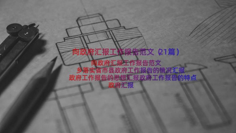 向政府汇报工作报告范文（21篇）