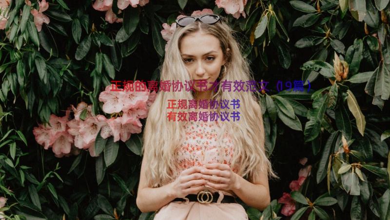 正规的离婚协议书才有效范文（19篇）