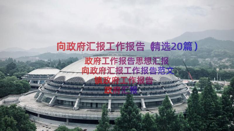 向政府汇报工作报告（精选20篇）