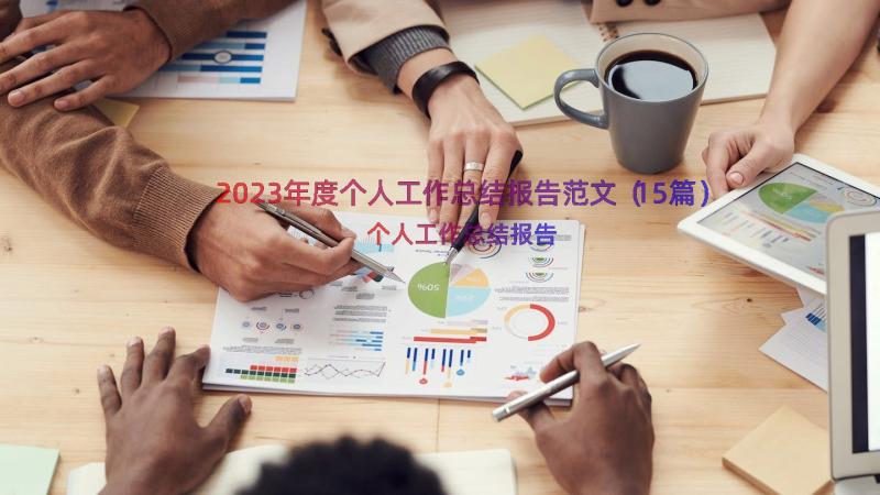 2023年度个人工作总结报告范文（15篇）