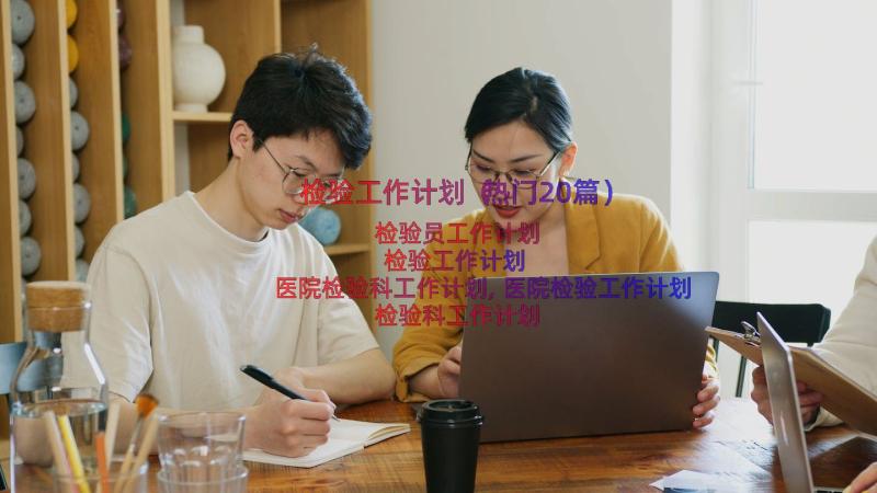 检验工作计划（热门20篇）