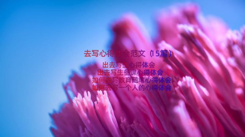 去写心得体会范文（15篇）