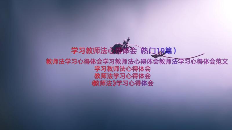 学习教师法心得体会（热门19篇）