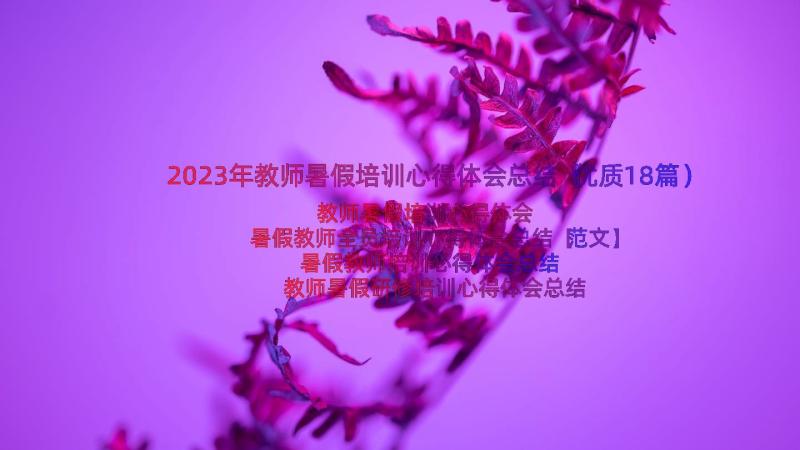 2023年教师暑假培训心得体会总结（优质18篇）