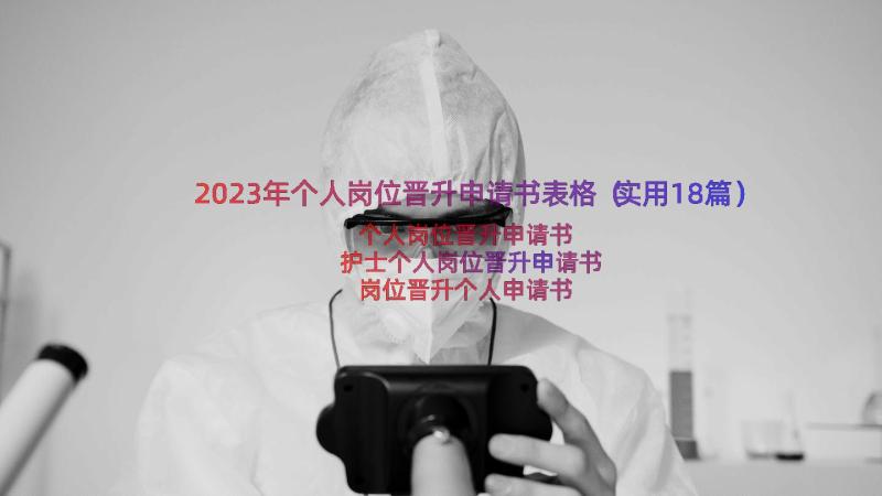 2023年个人岗位晋升申请书表格（实用18篇）