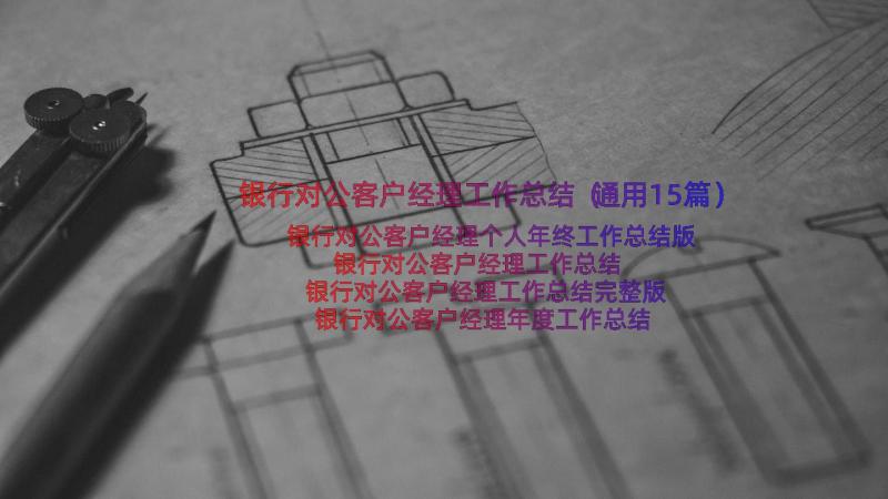 银行对公客户经理工作总结（通用15篇）