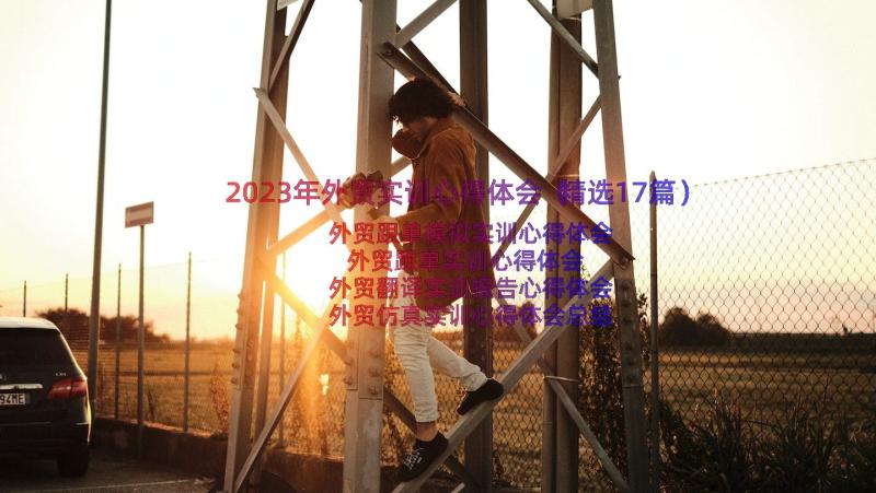 2023年外贸实训心得体会（精选17篇）