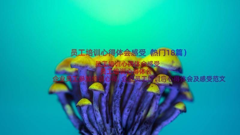 员工培训心得体会感受（热门18篇）