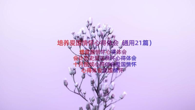 培养爱国情怀心得体会（通用21篇）