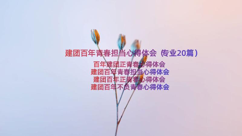 建团百年青春担当心得体会（专业20篇）